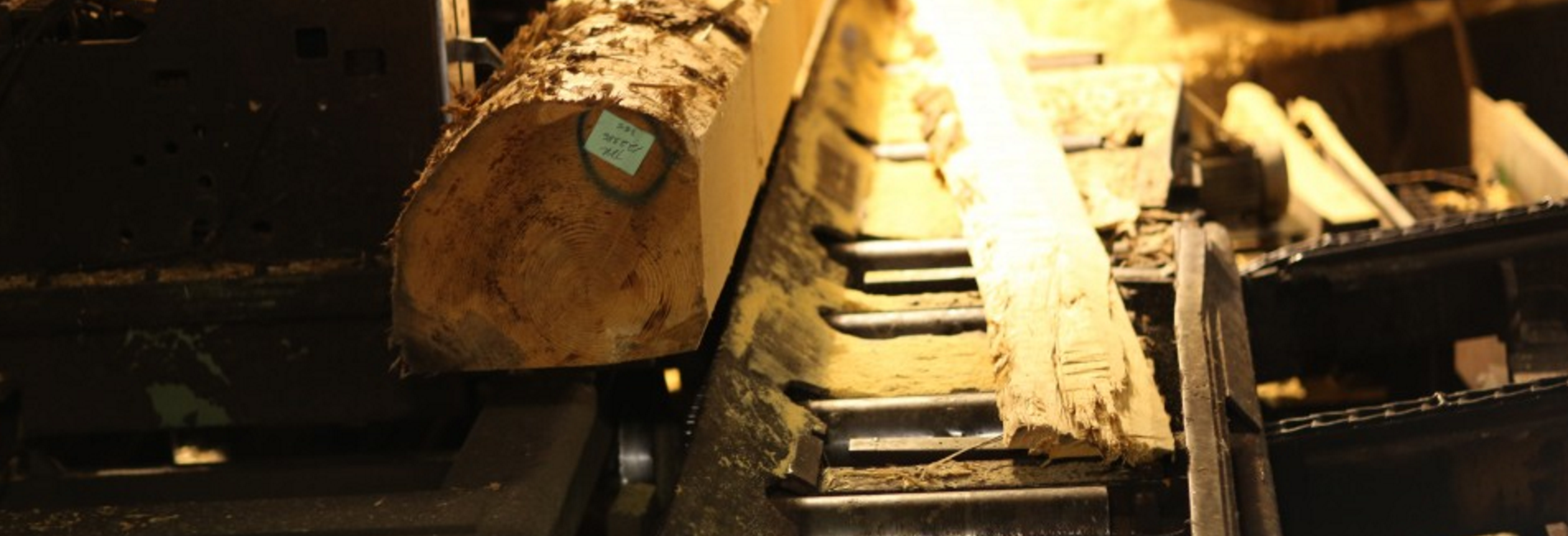 High Tech Timber The Modern Sawmill Forestry Association