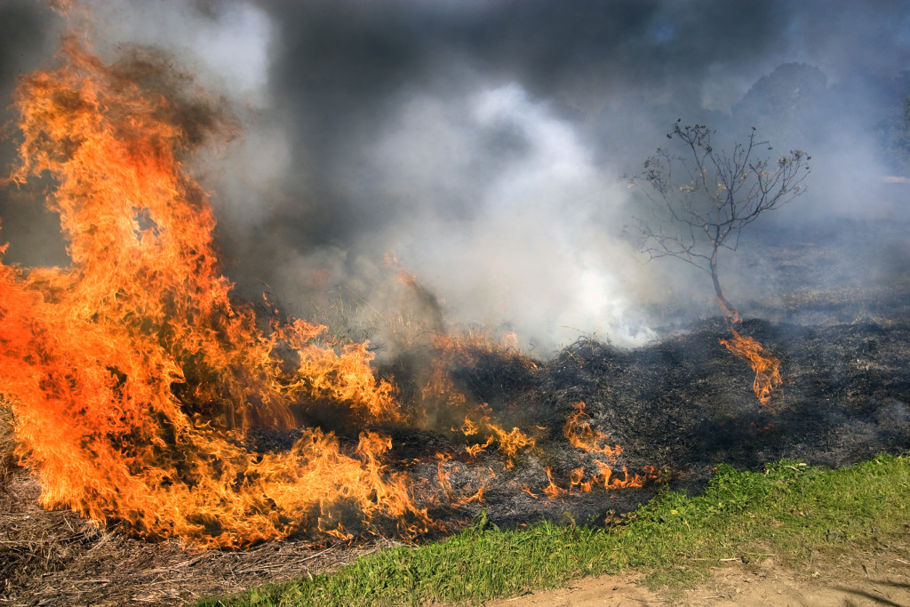 54 County EPD Burn Ban Starts on May 1 Forestry Association