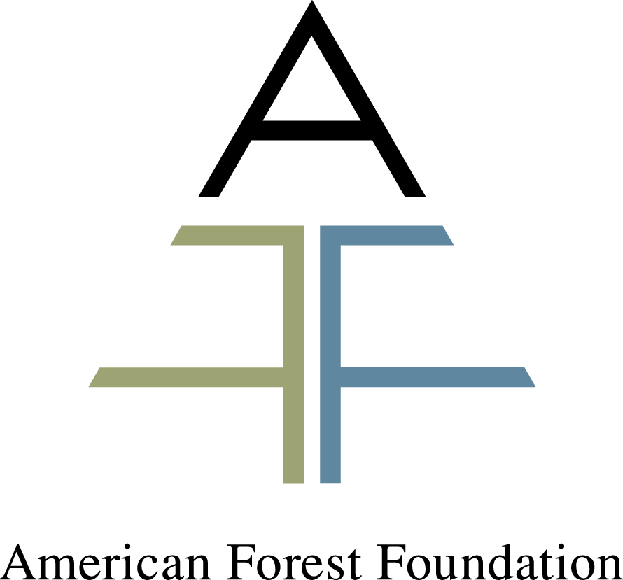 American foundation