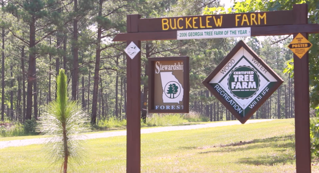 Buckelew Farm Named 2016 Tree Farm of the Year