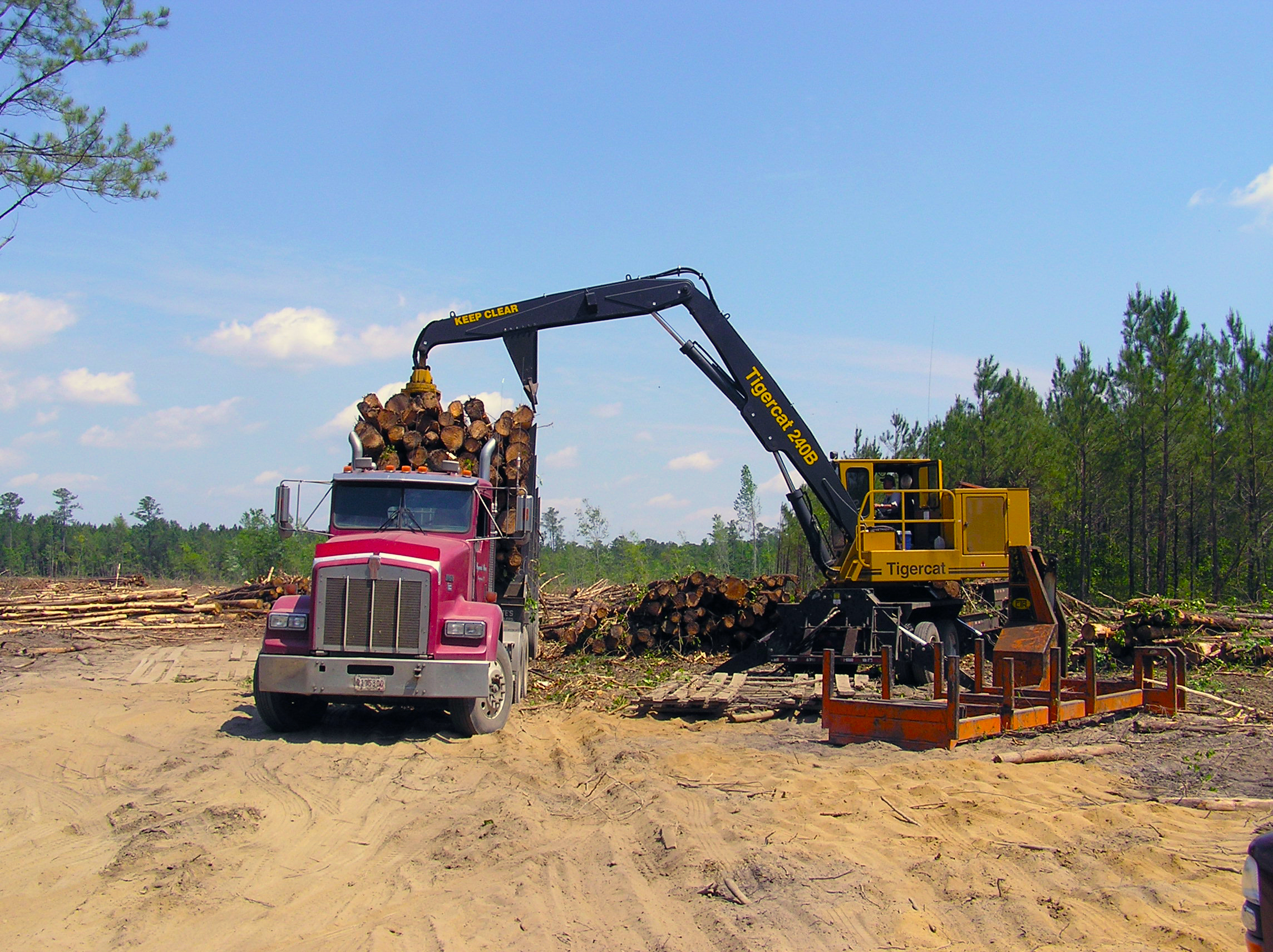 10 Timber Security Tips for Landowners Forestry