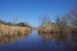 GLT.protected land.mirror