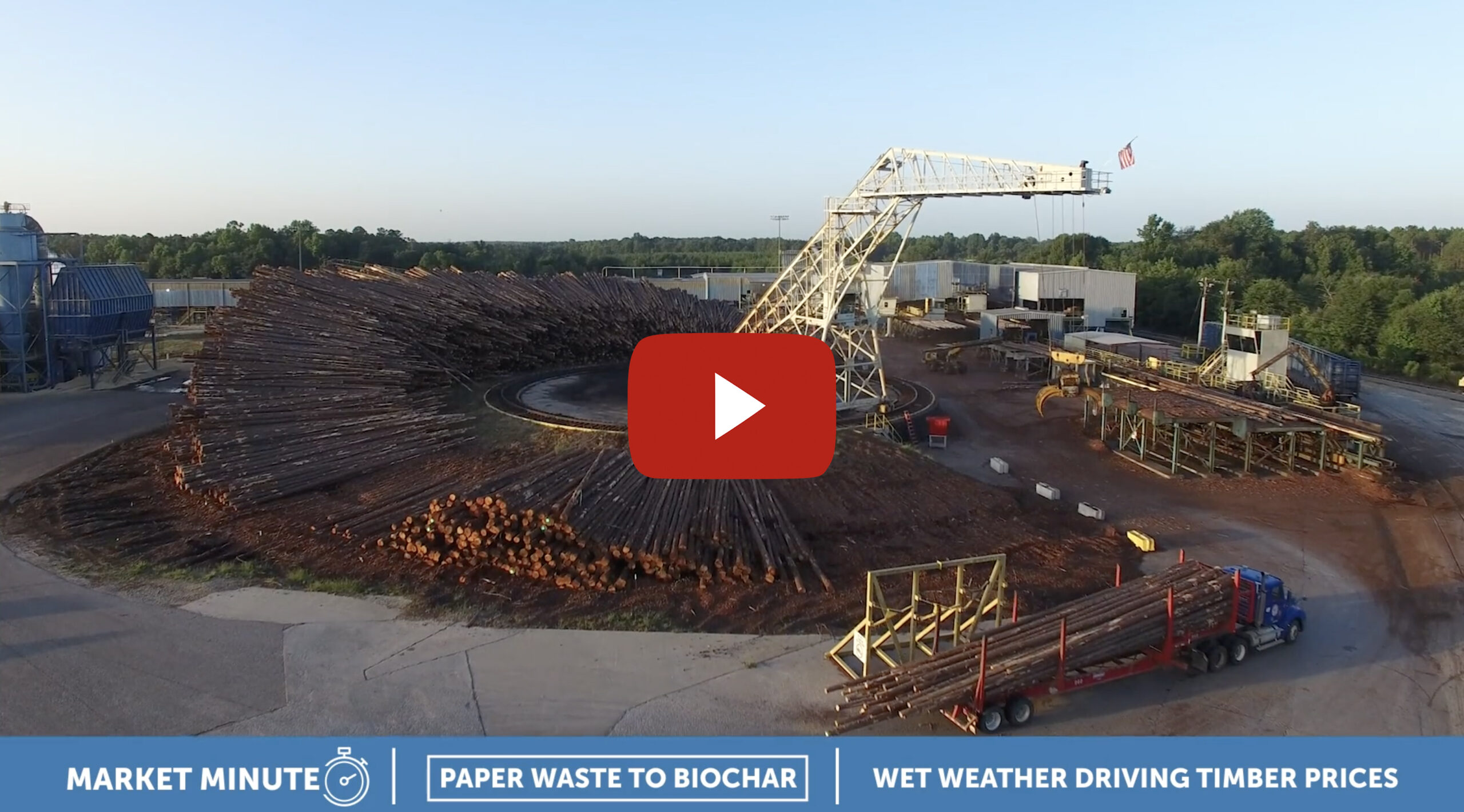 Market Minute | Supply Chain Sustainability & Timber Prices - Georgia ...